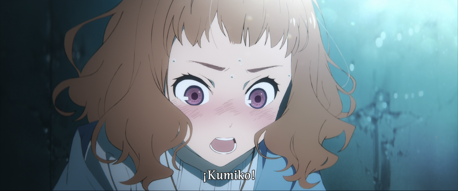 Josee to Tora to Sakanatachi (Sunshine Fansub)